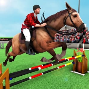 Horse World Show Jumping